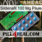 Sildénafil 100 Mg Pilule new03